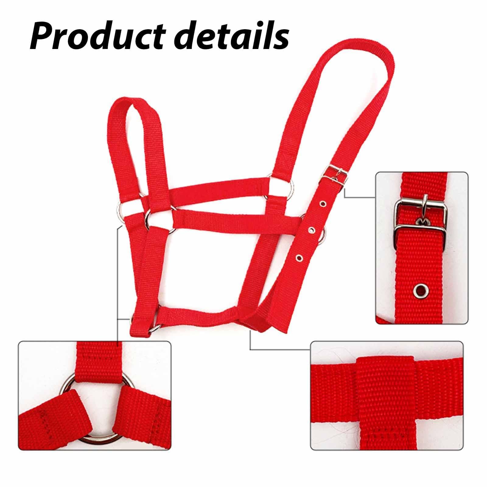 Cavezza per Cavallo con Corda, Cavezza Regolabile in Nylon, per Sport Equestri, Conduzione, Addestramento, Toelettatura, Viaggi, Proprietari, Uso Este