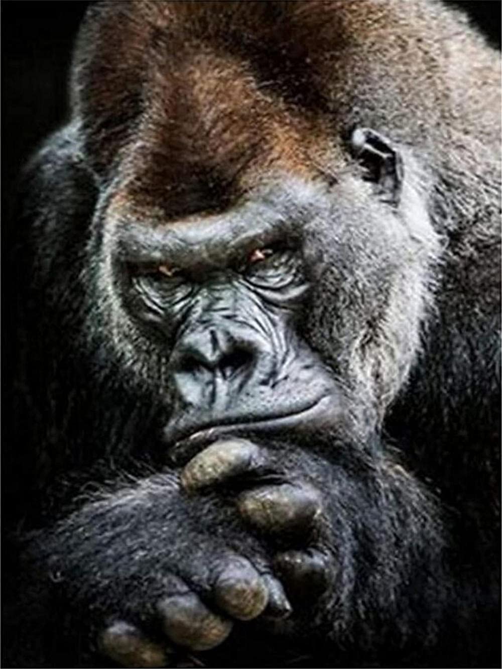 BenaiD 5D Diamantmalerei Set – Gorilla Motiv, 50x70 Cm, Quadratisch/rund, Mit Zubehör