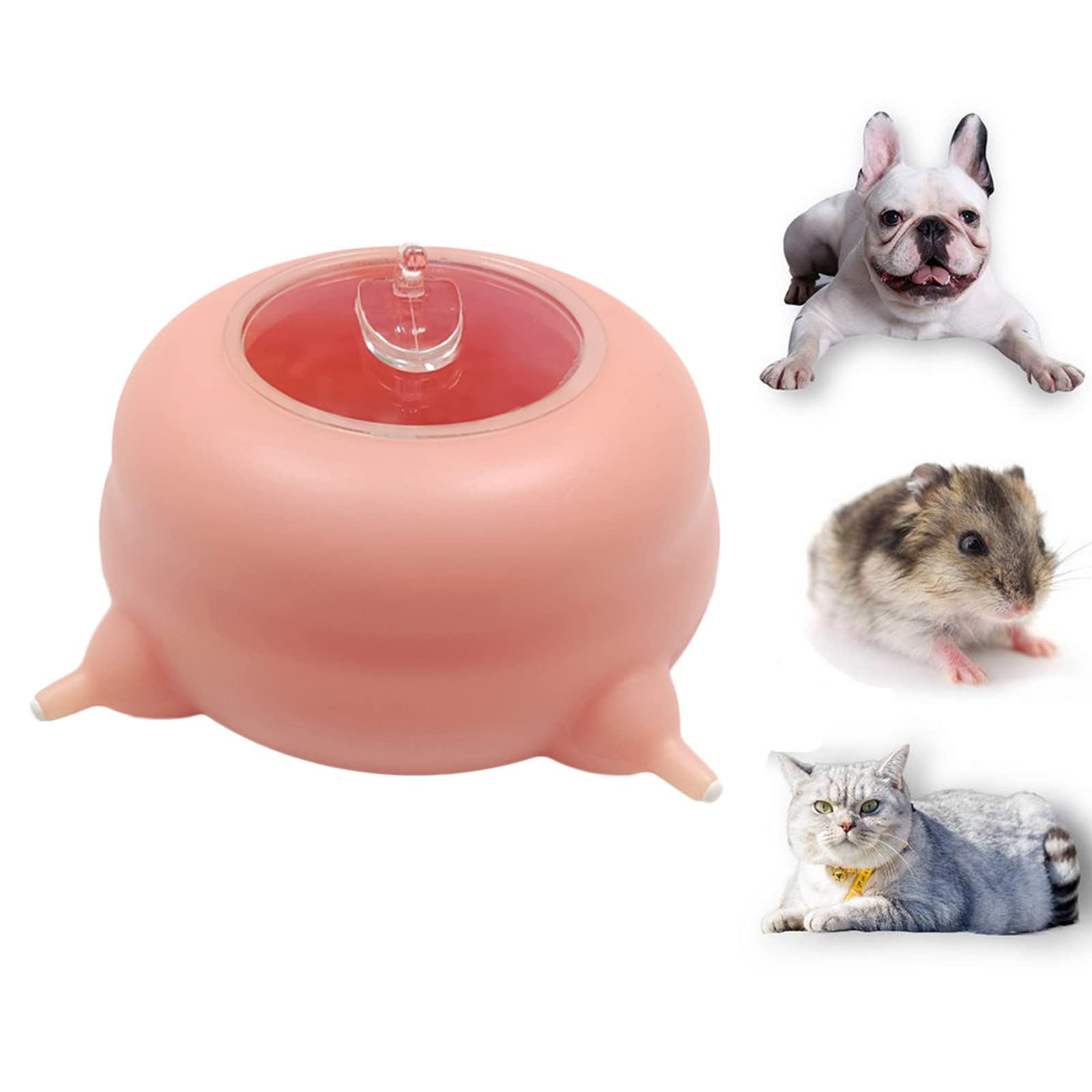 Tétine pour chiot et station d'allaitement avec bol à lait en silicone pour nouveau-né