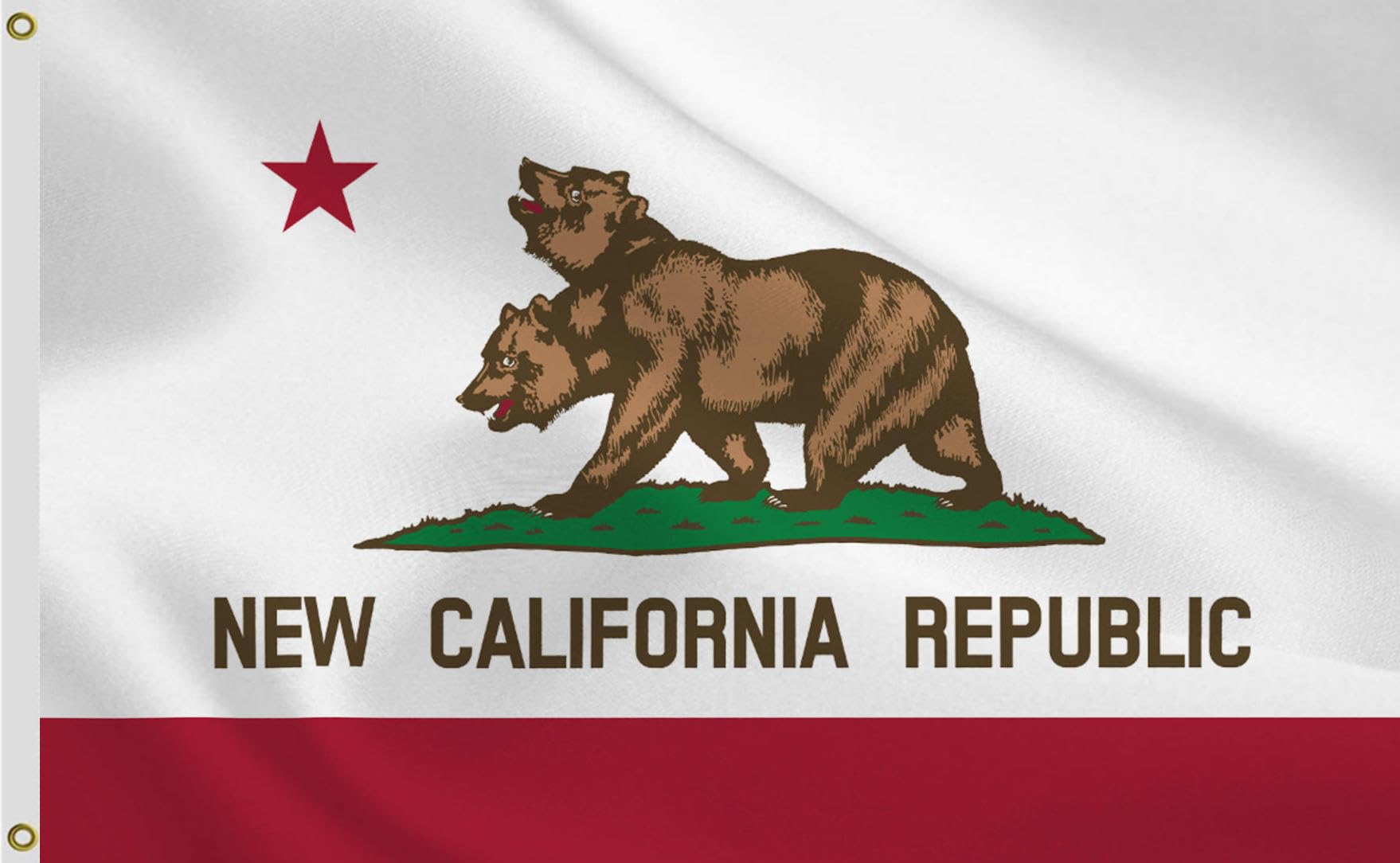 Amazon.com : Large New California Flag 3X5 FT, CA State Flag, Cali