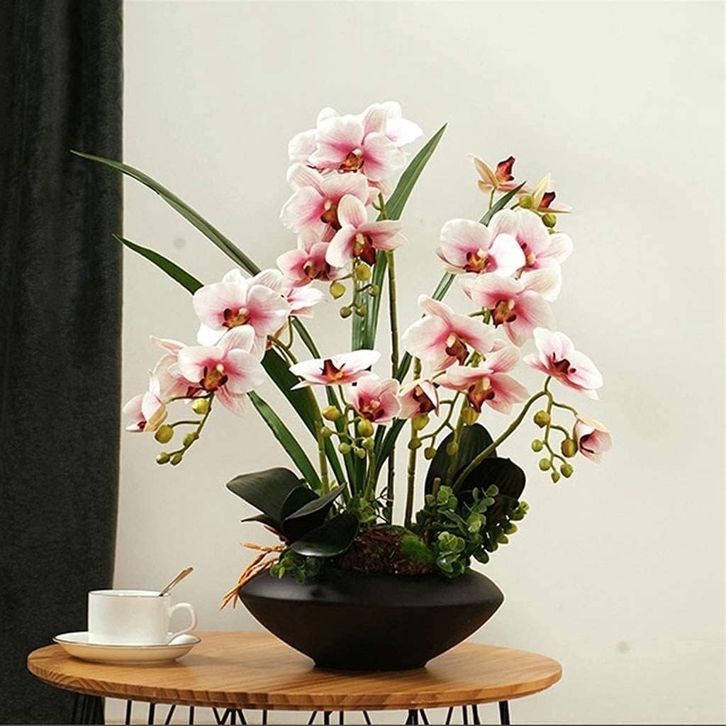 Orquídea Artificial de 19,68 Pulgadas, Floral Falso con jarrón de cerámica, Flores Artificiales de Phalaenopsis en Maceta, Flor Artificial Moderna de imitación