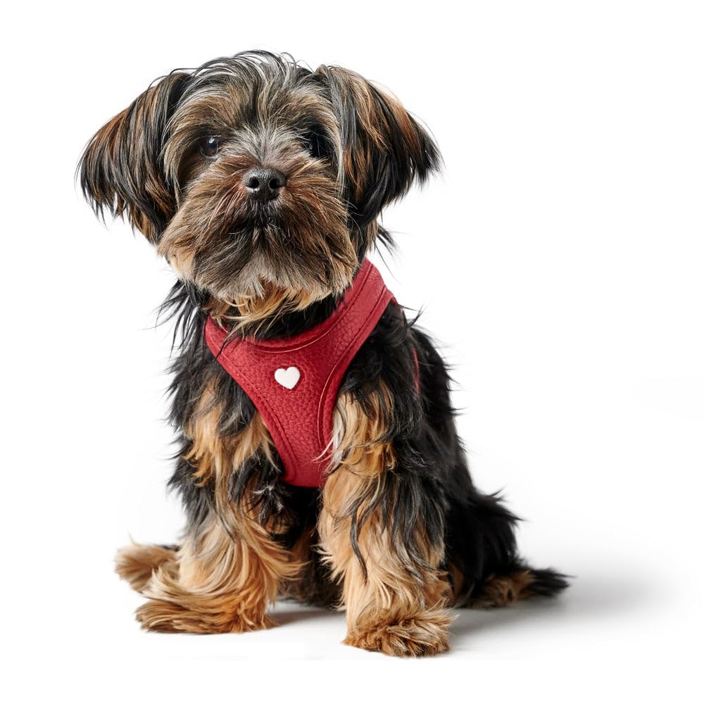 Hunter Hundegeschirr Love, Farbe: rot, weiches Rindsleder, atmungsaktive Mesh-Polsterung, Herz handgenäht, hoher Komfort, Made in Germany, Größe: XS-S