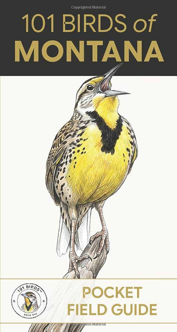 101 Birds of Montana: Pocket Field Guide (101 Birds Pocket Field Guides)