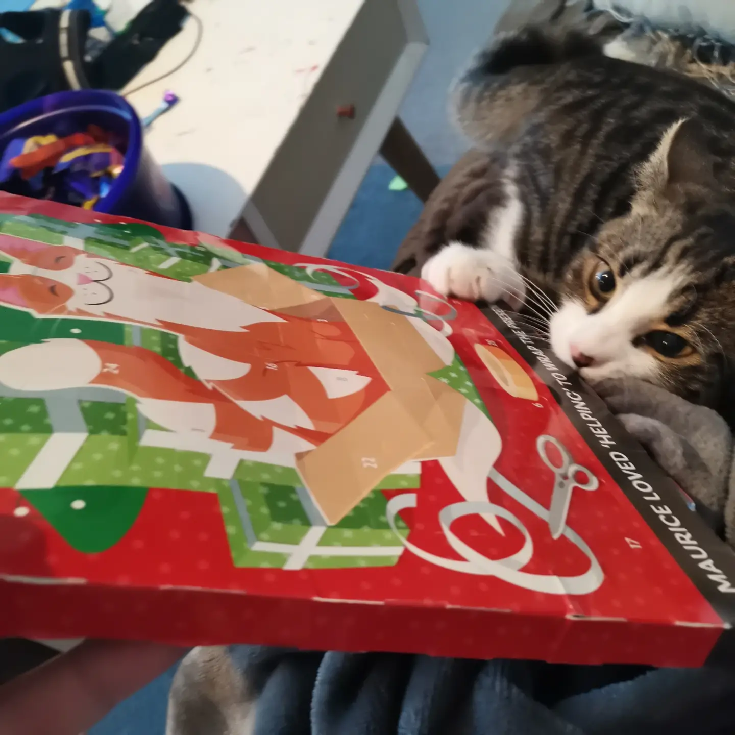 Meowee! Catnippy Christmas Cat Advent Calendar 2021 (72g). Amazon.co