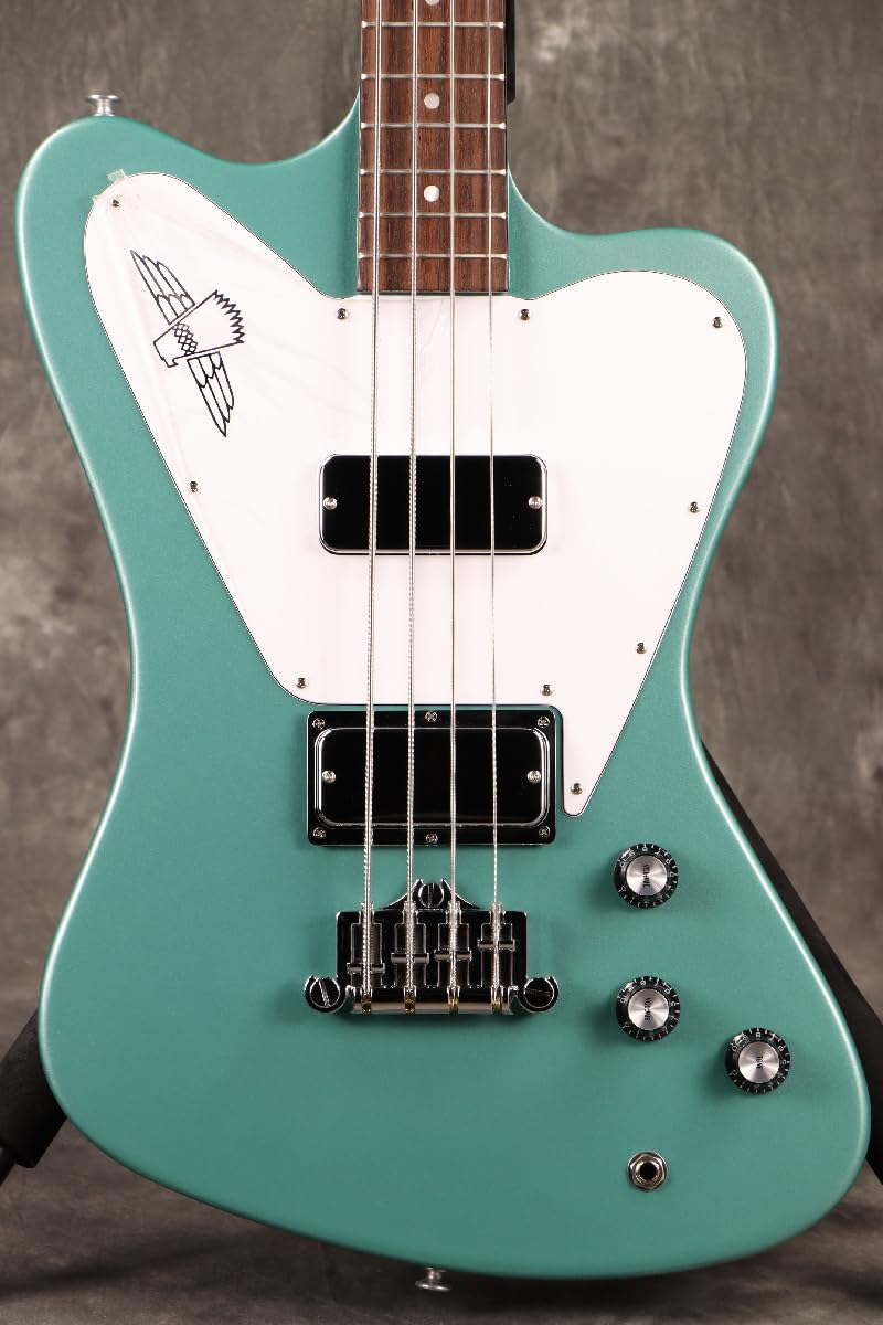 Amazon | Gibson USA/Non-Reverse Thunderbird Inverness Green