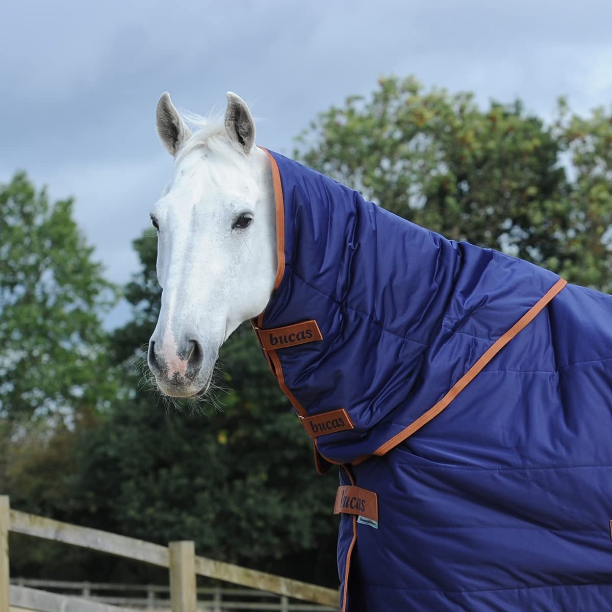 Bucas Shamrock jupe séchante cheval col matelassé 0g bleu