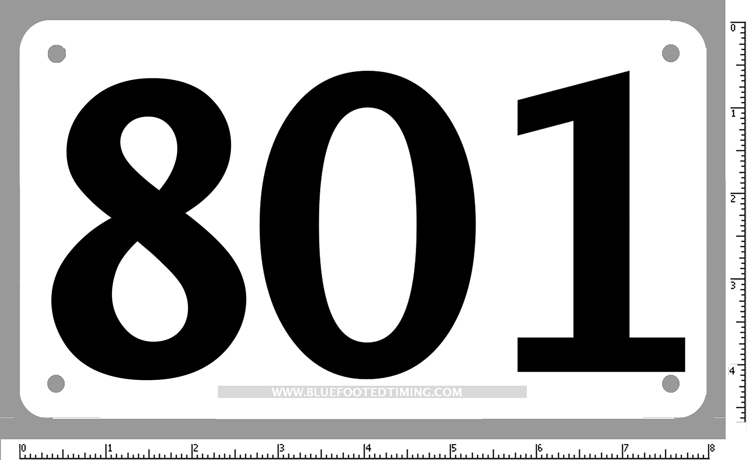 BlueFootedTiming Basic Economy tyvek Race bib Competitor Numbers - Set of 100, tyvek Tear Proof and Water Proof - Hole in Each Corner 8.0" x 3.5". Numerals are 2 1/2" high.
