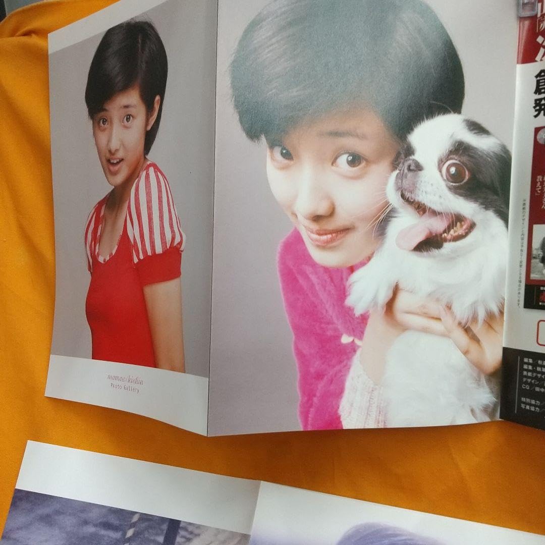 山口百恵　雑誌ポスター３枚 Amazon.co.jp: 山口百恵 綴じ込みポスター3枚 : 文房具