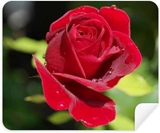 Dark Red Roses Flowers Cleaning Cloth Screen Cleaner 2pcs Suede Fabric