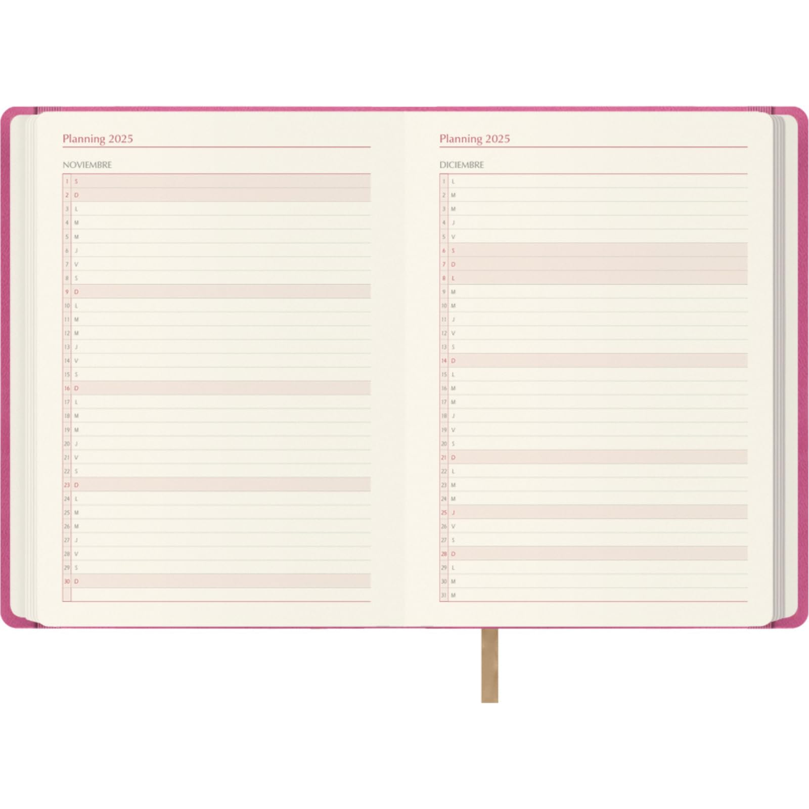 Dohe, 2025 Diary, Day by Page, A5 Size (15 x 21 cm), 12 Months January to December, Leatherette Hardcover, Planner in Spanish - Image 4