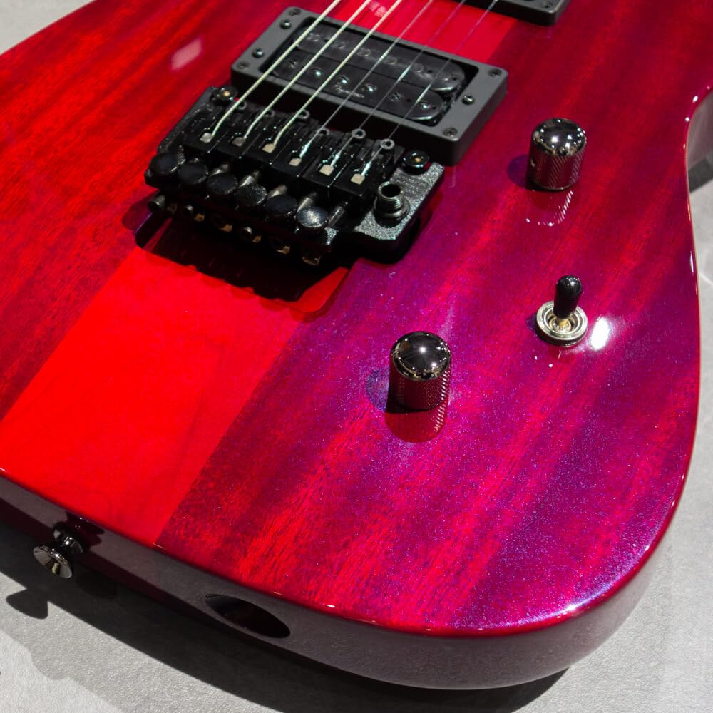 Amazon | Caparison Guitars Dellinger II Prominence EF Trans
