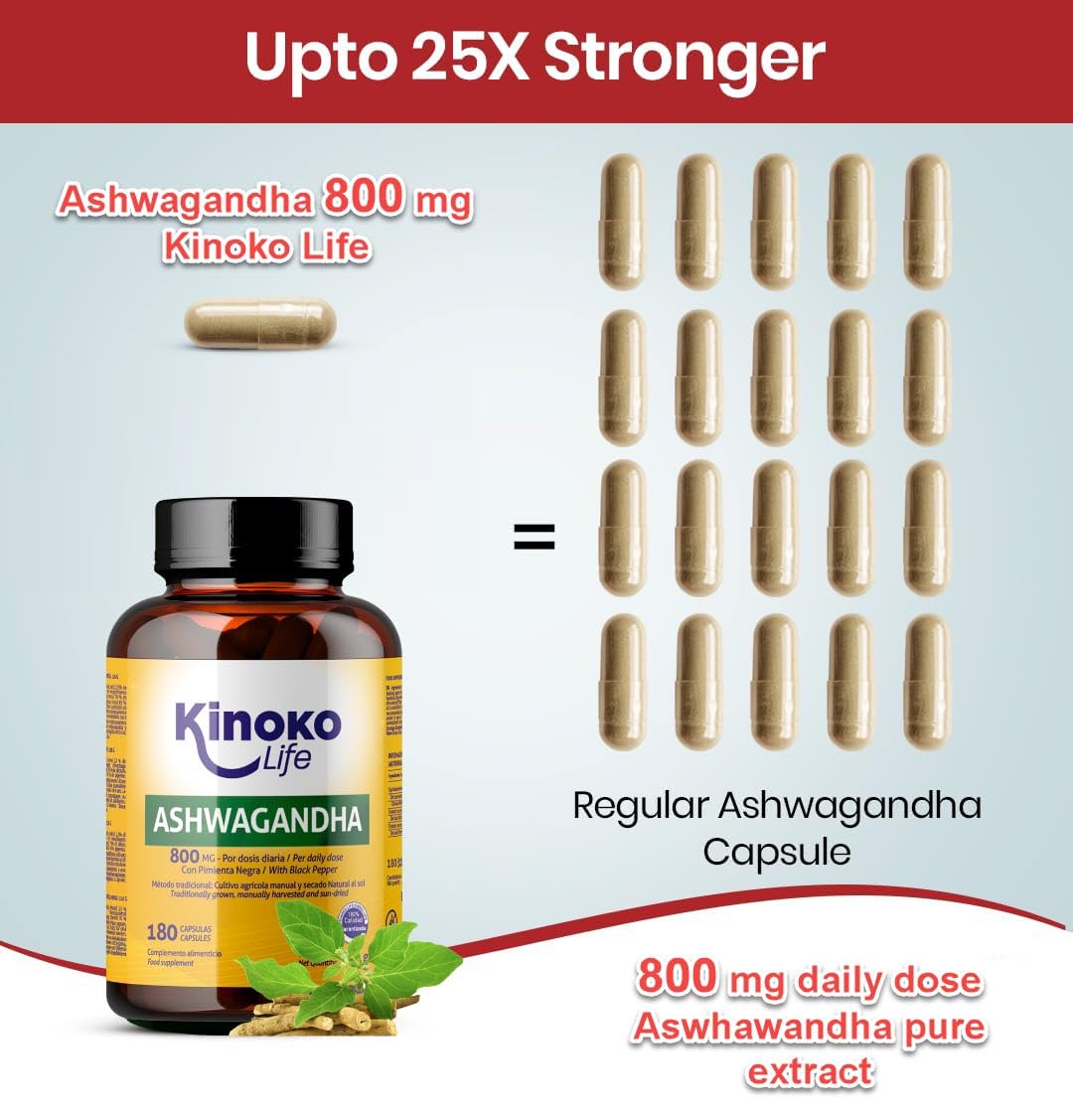 ASHWAGANDHA 800 mg – 180 Cápsulas | Extracto 10:1 con Pimienta Negra (Piperina) | Adaptógeno y Nootrópico Natural para el Estrés, Cortisol y Energía Mental – Kinoko Life