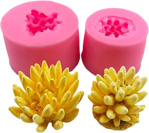 Fondant Mould 2Pieces3DStereo Succulent Cactus SiliconeMoldDIYCake Aromatherapy Gypsum Candle Plant Baking Mold