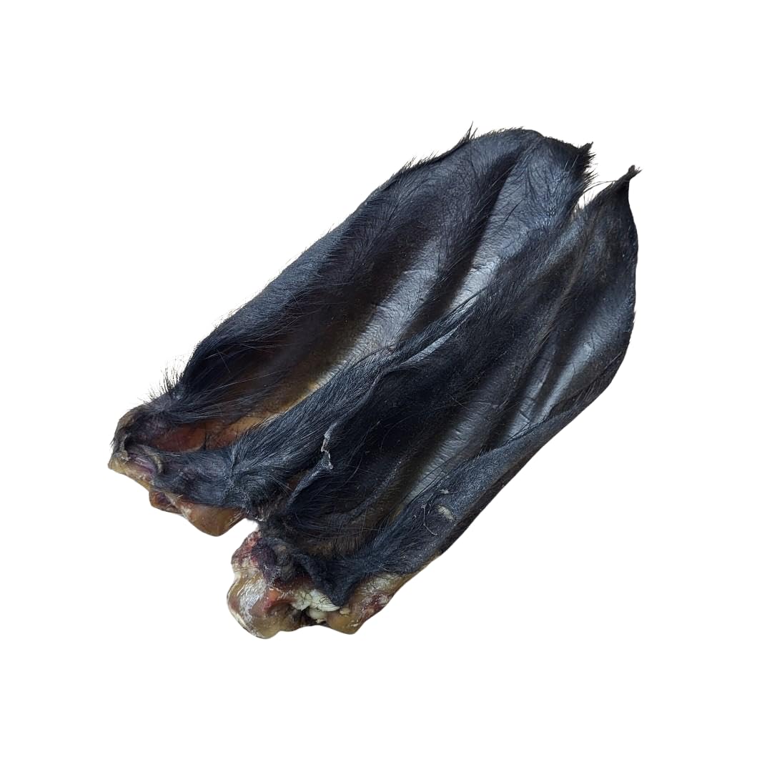 Pawsome Snax Hairy Buffalo Ears Dog Treats – PACK SIZE: 10 - Natural Long-Lasting Chews for Dogs, High Protein, Grain-Free