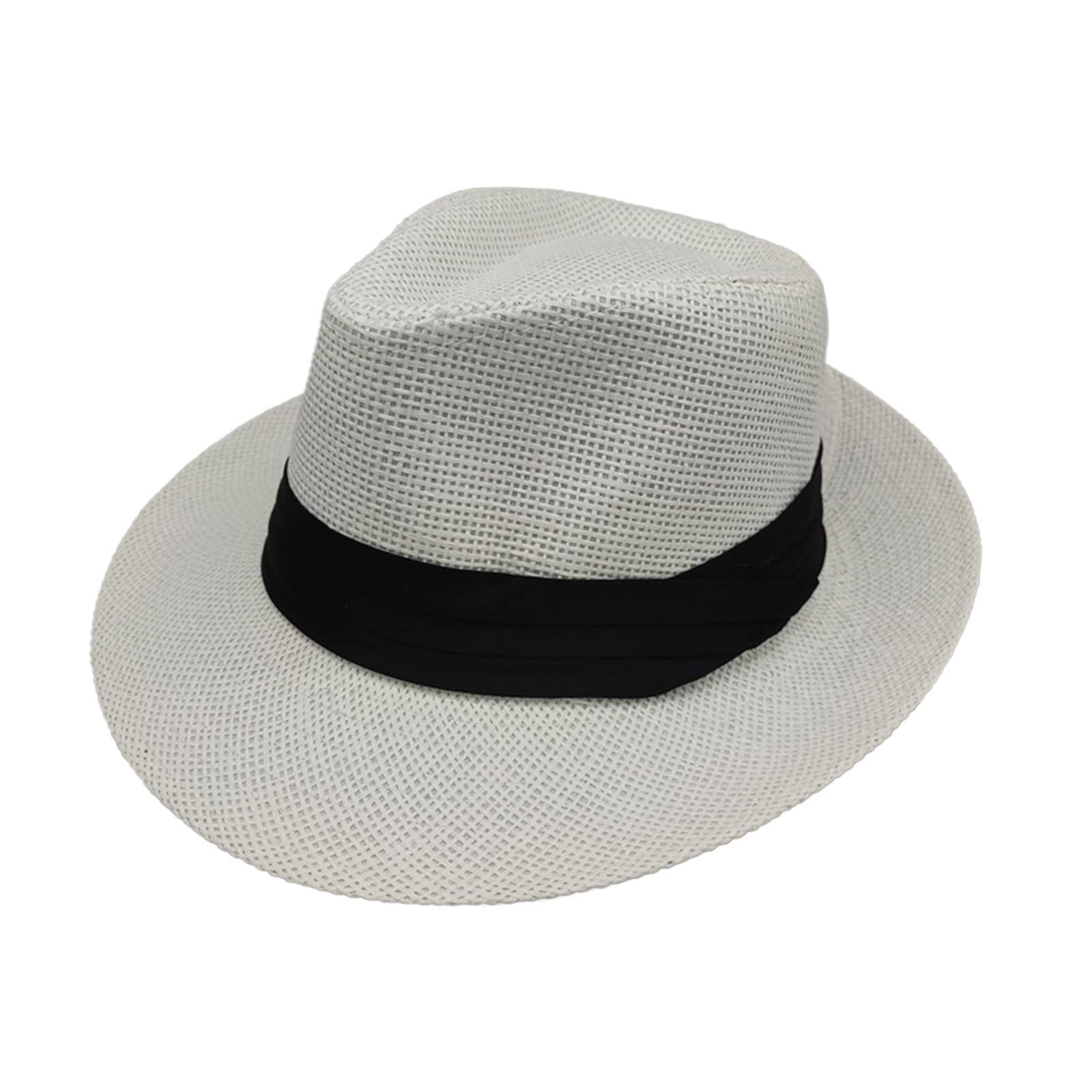 LiSA 北米ツアー NATOUR CAP 2025 Luxury Designer Neutral