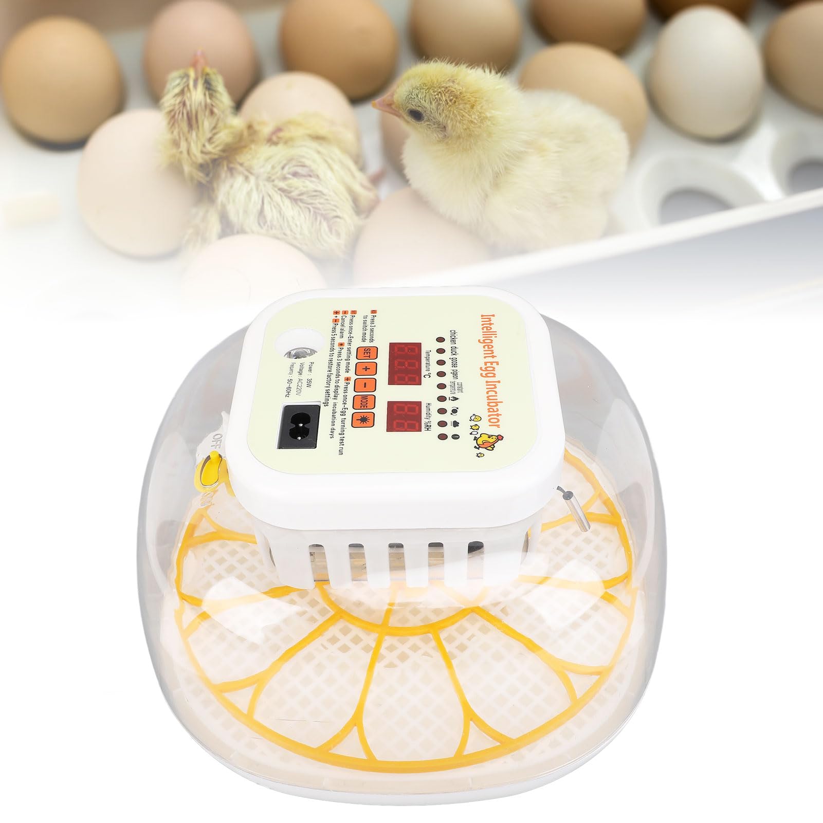 Incubadora de 12 Huevos con Giro Automático de Huevos y Control de Humedad, Incubadoras de Huevos de Diseño Ventilado para Huevos para Incubar, Incubadora de Huevos de (Enchufe