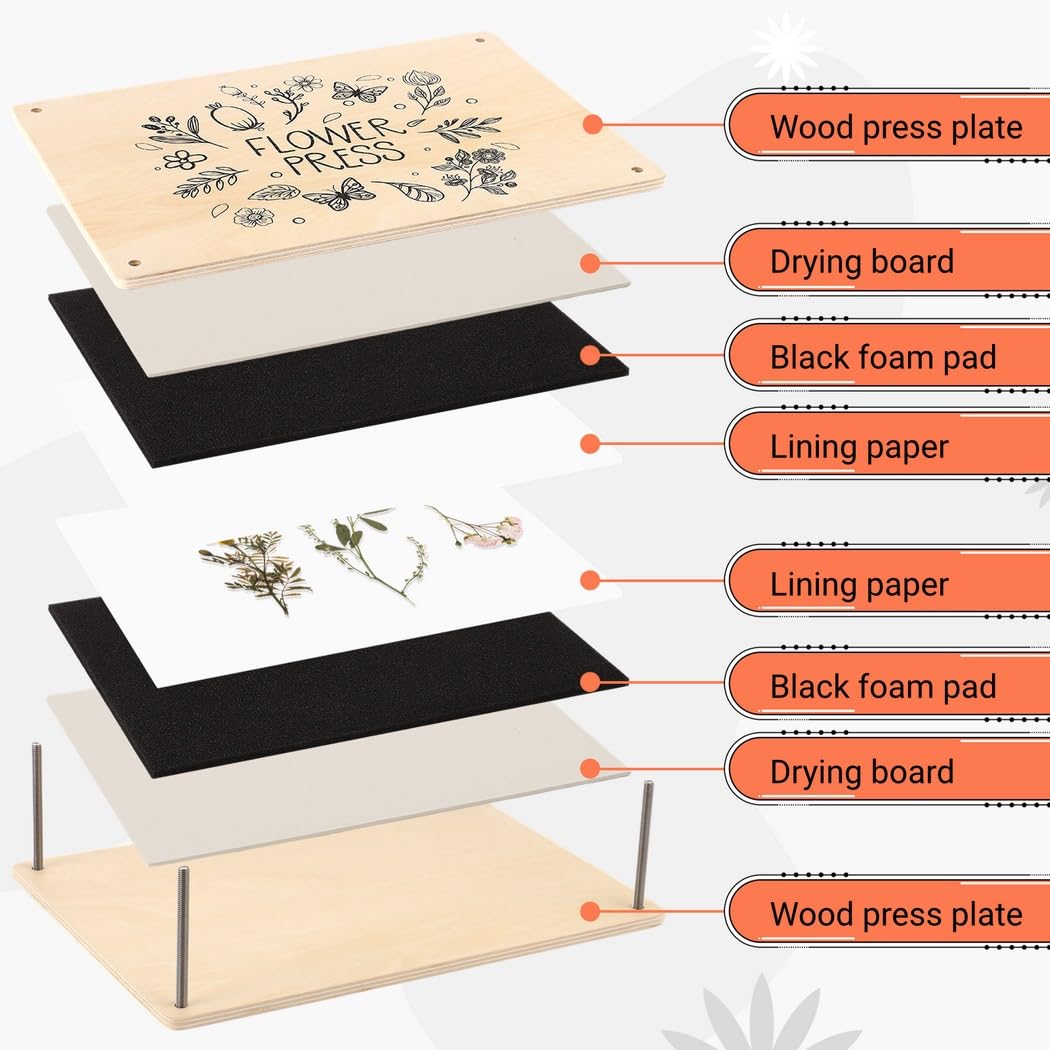 Kit de bricolage en tilleul avec vis, fournitures d'art floral pour projets de préservation des plantes, des feuilles et des pétales de 20,6 cm