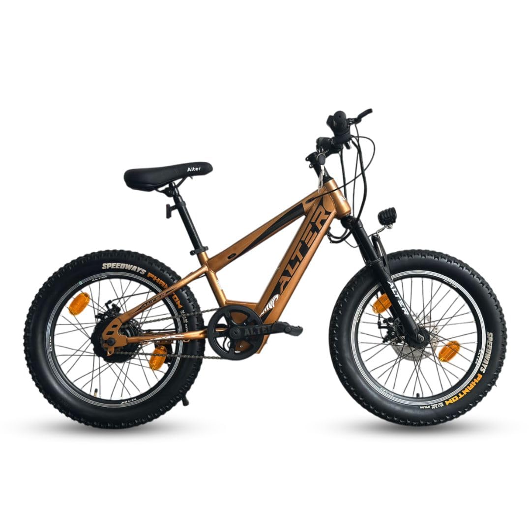 Alter 20"" HANZORX Kids Electric Cycle with 24V 250W BLDC Hub Motor | 7.8Ah Lithium-ion Battery | Double Wall Alloy Rim with Water Decals | 95% Pre-Assembled with Charger (Bronze & Black)-picture-15