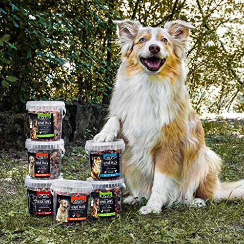 Pätso Hundeleckerli & Trainings- Hunde Snack Getreidefrei/Hunde Leckerlis (Lachs und Huhn (Soft Bone), 500 g)