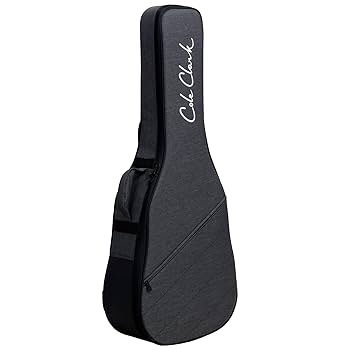 Cole Clark (オール単板) 51AgAufYa8L._UF350,350_QL50_.jpg