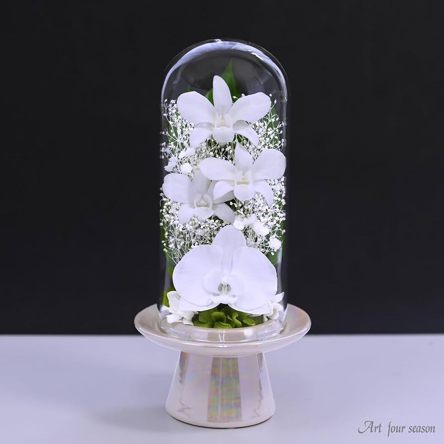 ホワイト胡蝶蘭のプリザーブドフラワー Amazon｜アートフォーシーズン （白系）胡蝶蘭Glass ホワイト