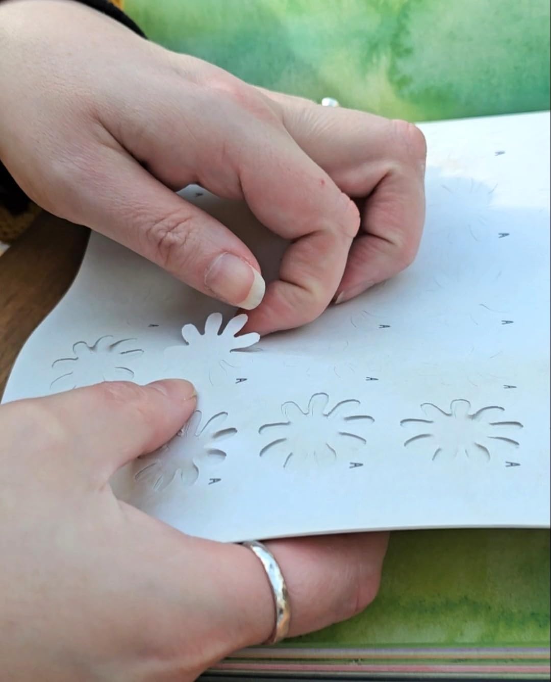 The Bouquet in a Book: Pre-punched pages to press out and make paper flowers: 1