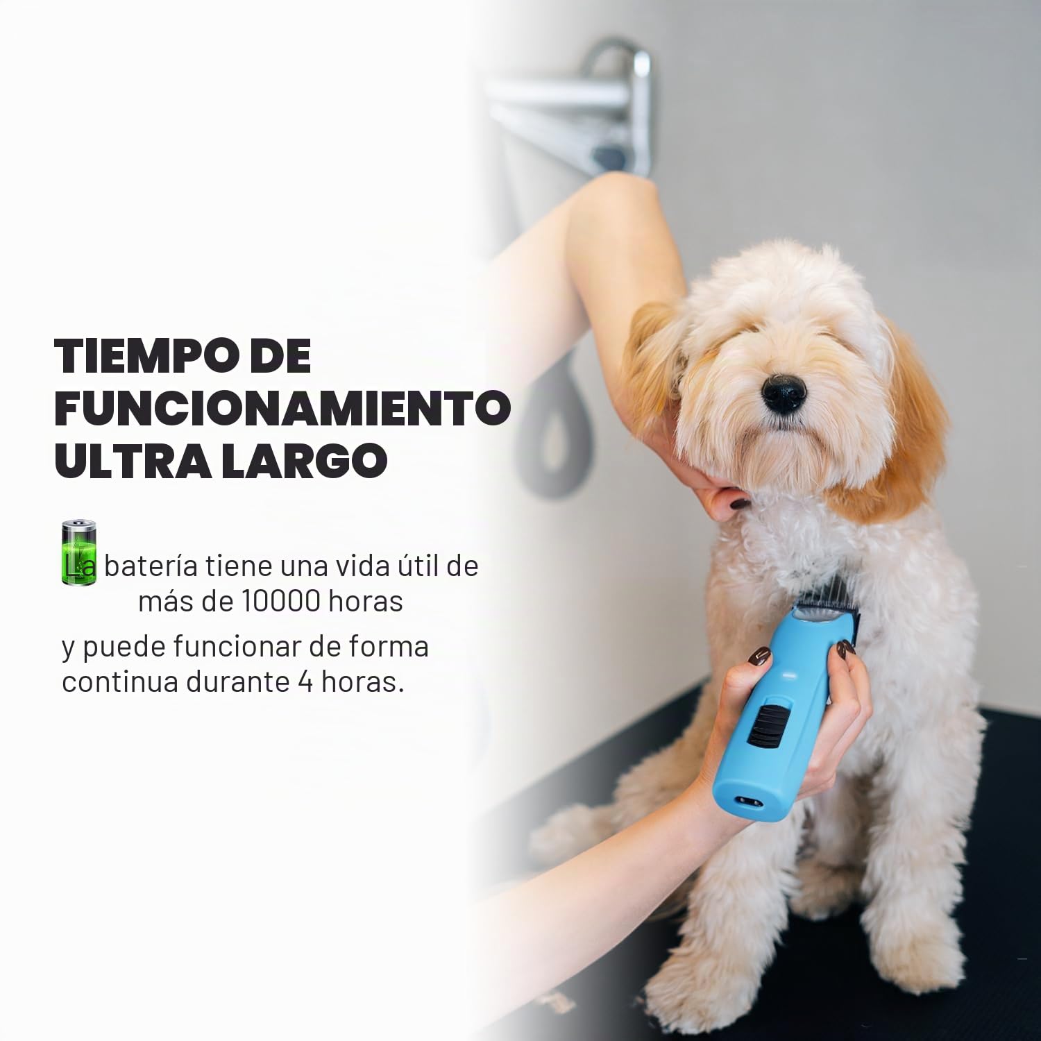 Cortapelos Profesional, Máquina de Cortar Pelo para Perros Ergonómica de 2 Velocidades, para Pelo Largo y Enmarañado, Azul