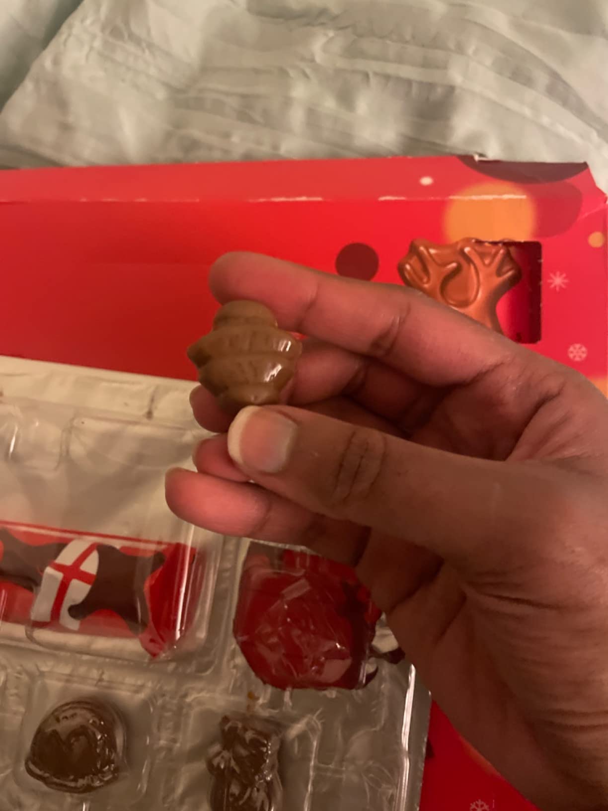 Maltesers Advent Calendar 108g Holiday Decor Advent