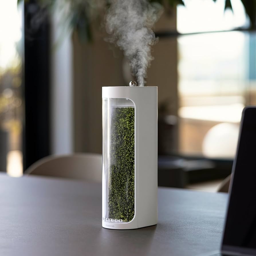 Moss Air 天然加湿器 コケの力で森林浴気分が味わえる！ホワイト 究極のサステナブル！コケの力で森林浴気分が味わえる！テラリウム風