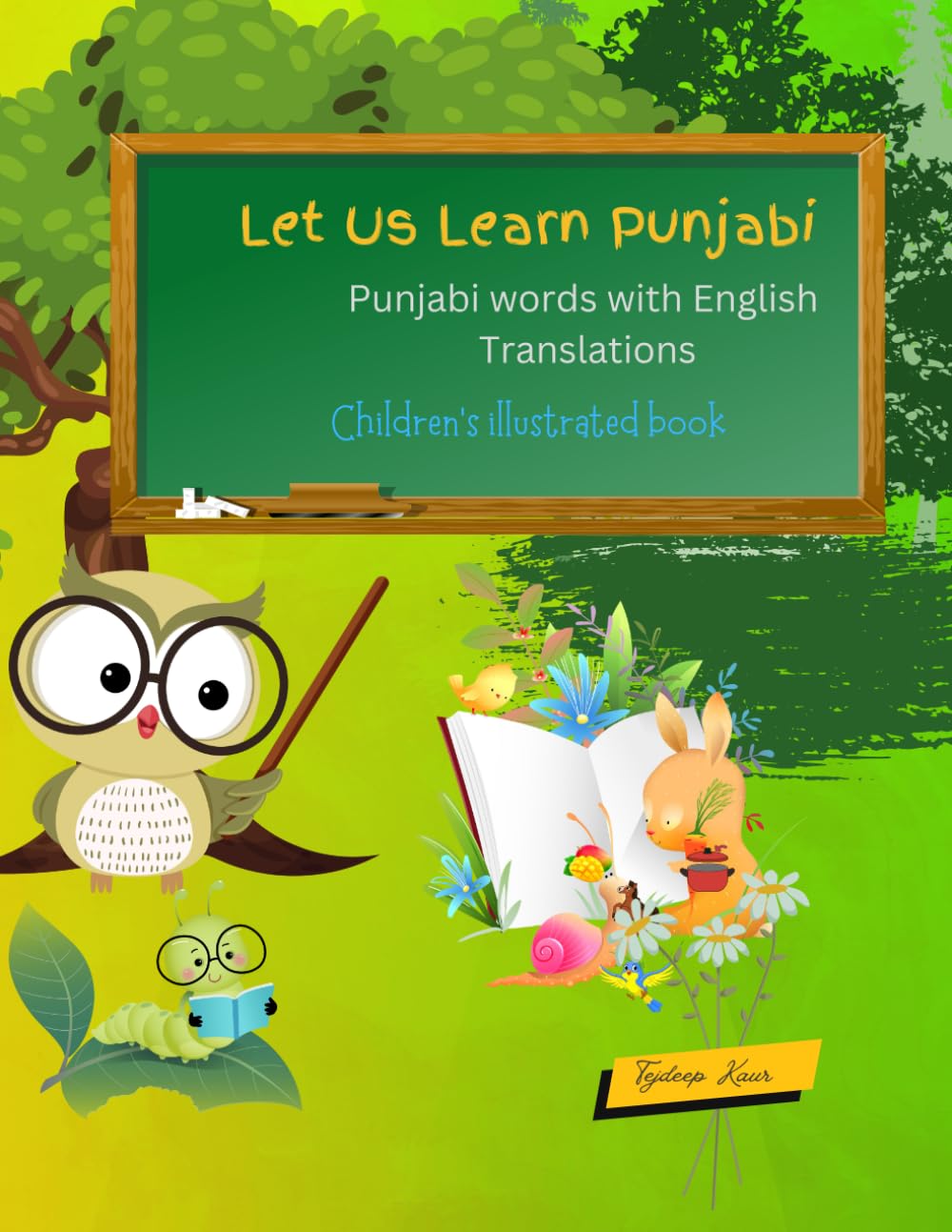 Let us Learn punjabi: Learn punjabi alphabets and Words with their English Translations: Children's illustrated book: My first steps towards learning ... My first steps towards learning Punjabi)