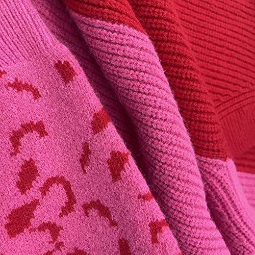 Image of ANCAPELION Women's V Neck Sweater Pullover Leopard Long Sleeve Basic Color Block Jumper Casual Knitted Tops