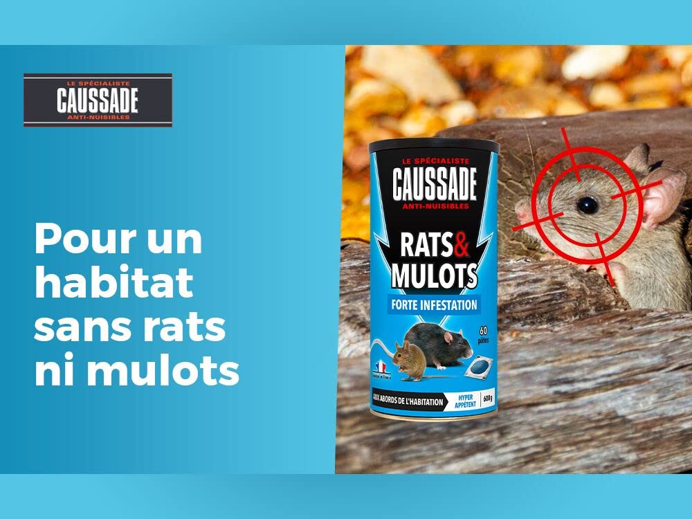 Caussade Anti Rats & Mulots - Efficacité Radicale - Lieux secs & humides - 60 sachets Pâtes - prêt à l'emploi - Une Ingestion Suffit – Fabriqué en France - 600g CARMUPT600