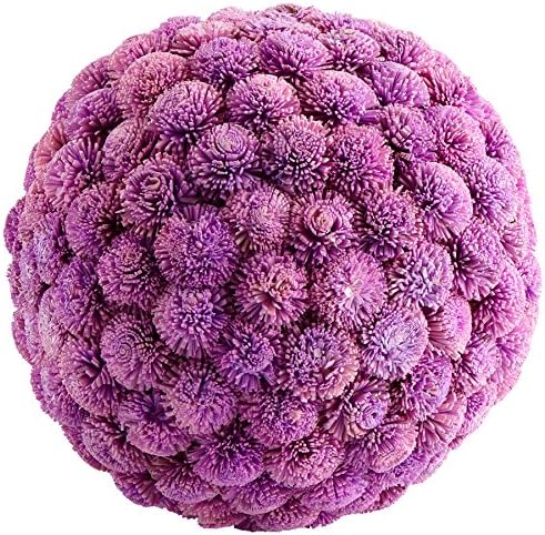 Cyan Design 07585 Sia Filler, Medium