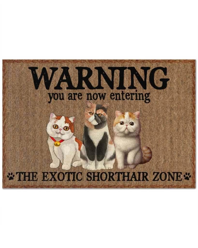 Paillasson extérieur entrée tapis de porte Exotic Shorthair zone