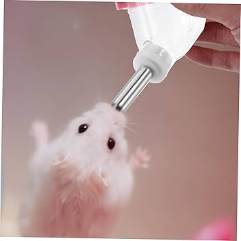 専用ハムスター ブカスターゲージ80cm 回し車 給水器 ほぼ未使用 専用ハムスター ブカスターゲージ80cm 回し車 給水器 ほぼ未使用