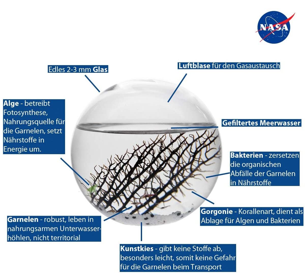 EcoSphere - Kleines Ei 13 cm hoch,das populärste Ökosystem nach einer Technologie der NASA