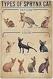 Photo Gallery bayabu carino sphyhx cat knowledge targa in metallo vintage decorazione per la stanza della fattoria tipi di sphynx poster retrò pet shop cafe camera da letto bagno home wall decor 30,5 x 40,6 cm Photo Gallery bayabu carino sphyhx cat knowledge targa in metallo vintage decorazione per la stanza della fattoria tipi di sphynx poster retrò pet shop cafe camera da letto bagno home wall decor 30,5 x 40,6 cm