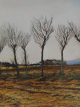 小林和作、「富士山」、希少な額装用画集より、新品高級額装付、状態良好 Yahoo!オークション - 小林古径 罌粟 希少な額装用画集より 新品高級額