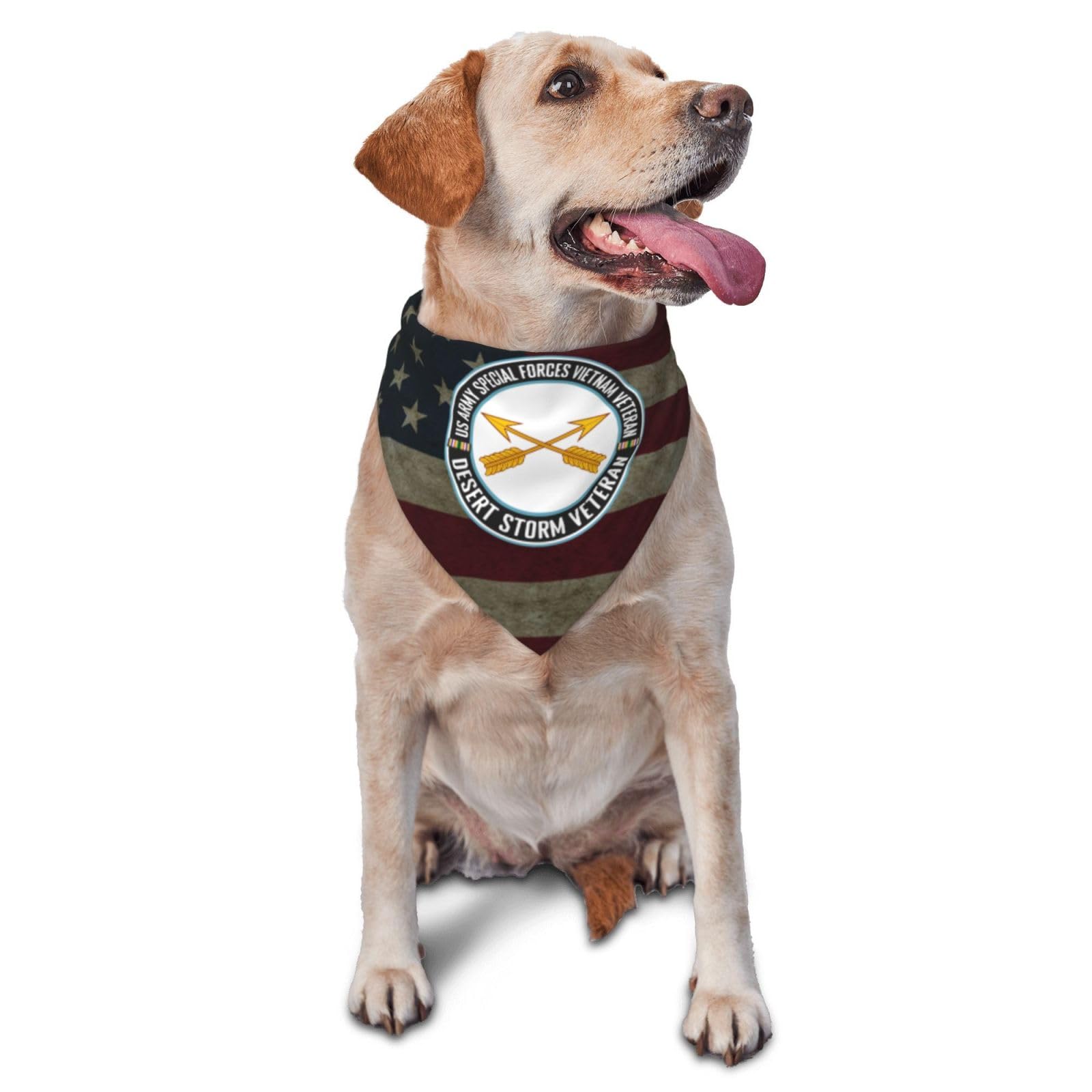 US Army Special Forces Vietnam Veteran Desert Storm Veteran Dog Scarf Pet Bandana Cat Pet Bibs
