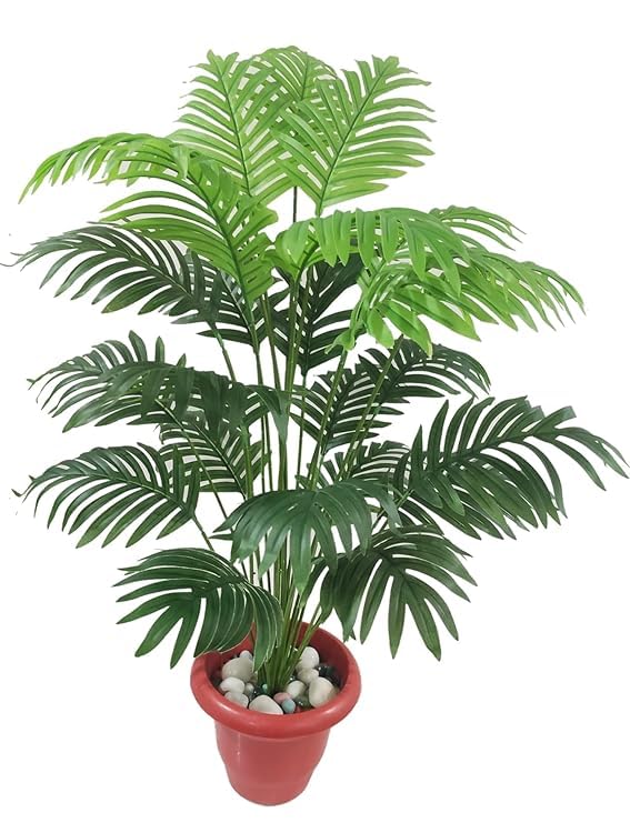 TENDER LEAVES Areca Palm Indoor Plants for Living Room Live Plant...