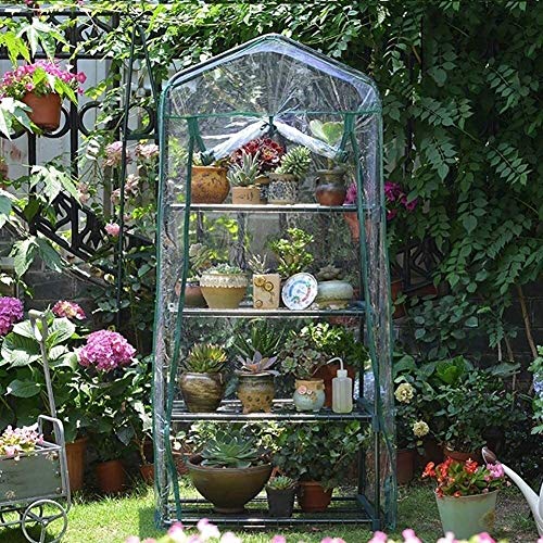 Invernaderos Terraza Plastico Invernadero 4 niveles transparentes CLORURO DE POLIVINILO Invernadero, invernadero de jardín con estantes, campos impermeables para semillas suculentas Invernadero