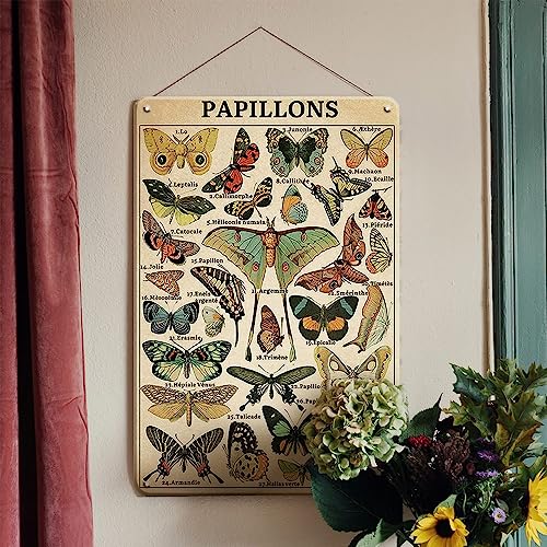 Plaque murale vintage en métal en forme de papillon pour salon, bureau, salle de classe, chambre à coucher, 30,5 x 20,3 cm