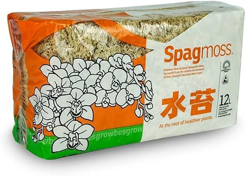 蘭土 ニュージー産圧縮水苔すいたい5A 250g (250)