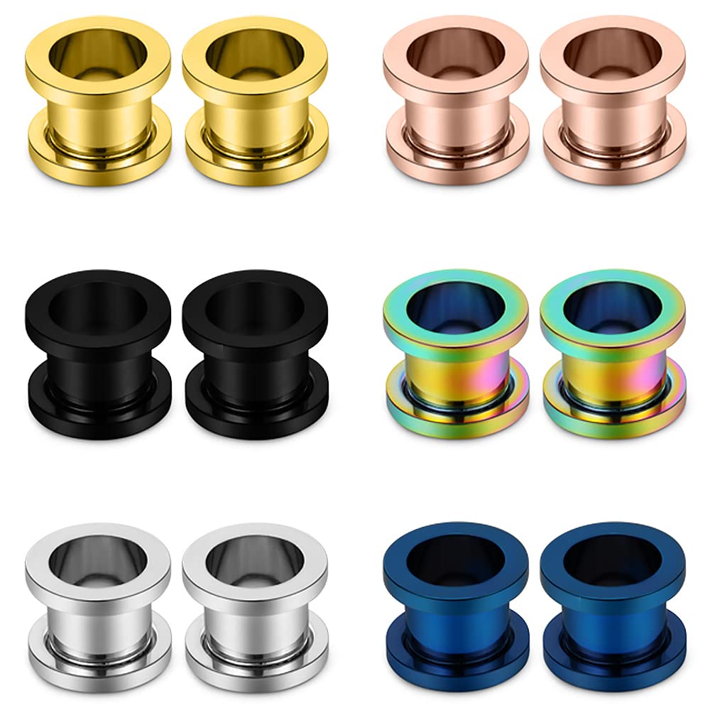 Screw Fit Ear Gauges Kit Surgical Steel Tunnel Expander Earrings Earlobe Plugs Body Piercing Jewelry Set for Women Men 14G-00G 12 Pieces