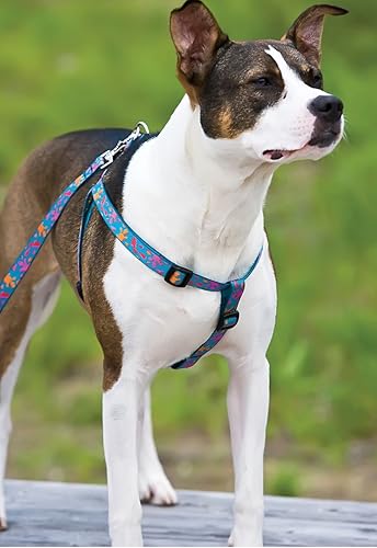 Miniatura 3 de lupinepet Originals 34 Wet Paint Paso En Arnés del perro