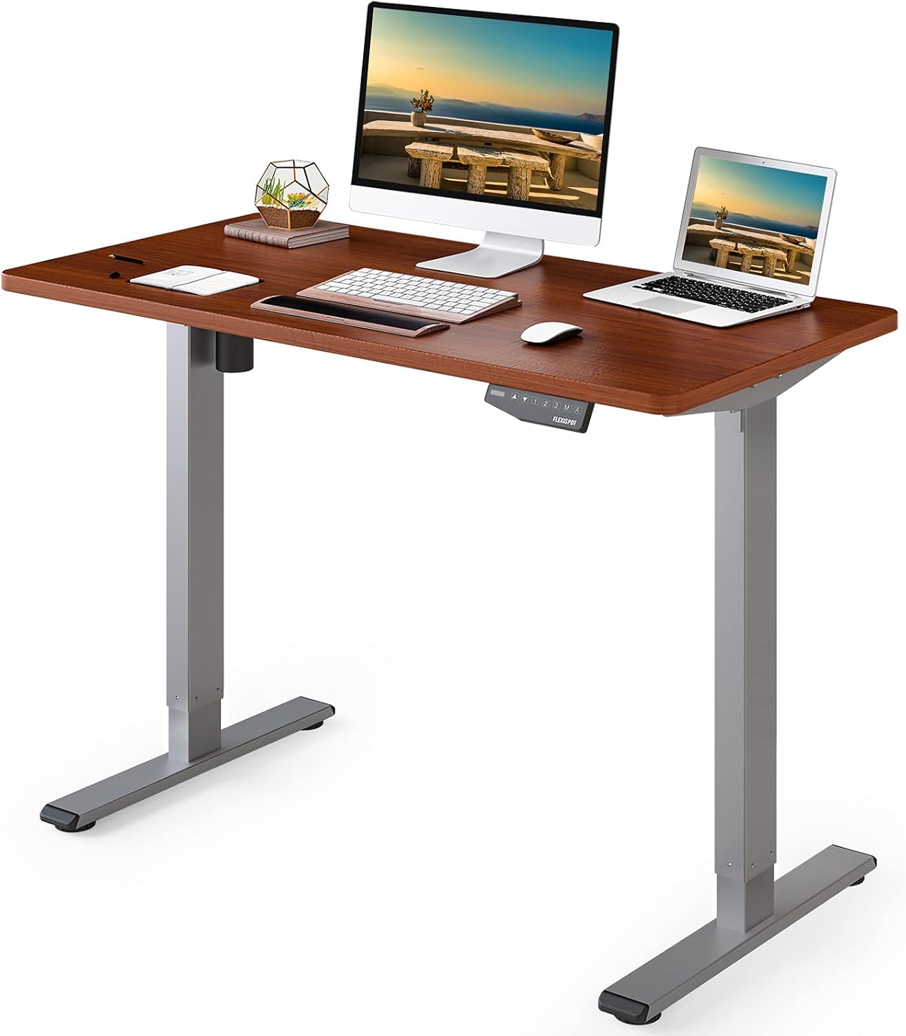 Flexispot EN1 Standing Desk 48 x 30 Inches Electric Stand
