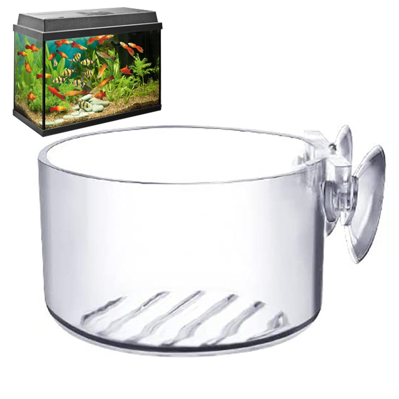 Soporte de acrílico para plantas acuáticas, maceta de agua, maceta de aspecto elegante, herramienta de decoración para acuarios de agua salada y agua dulce