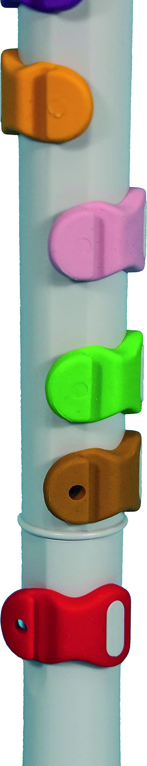 FF1 MULTICOLOR LOGO, Dolce Semplificato
