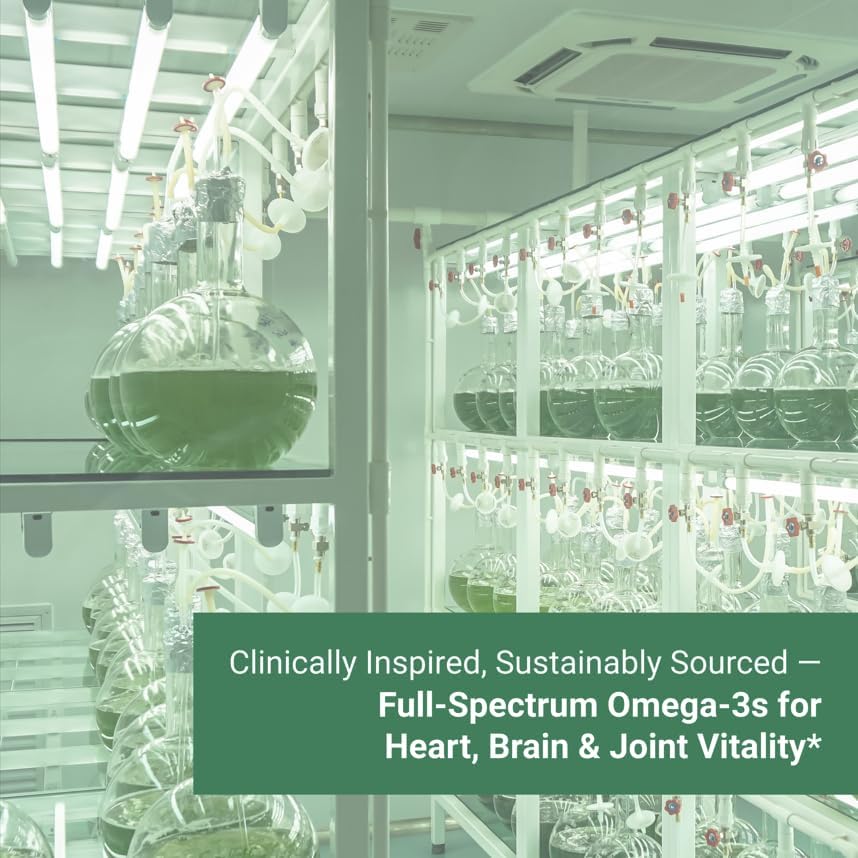 Miniatura 6 de Naturalis Omega 3 vegano de doble fuerza DHA, EPA y DPA de microalgas  Certificado Vegan Society de origen sostenible, verdadero espectro completo