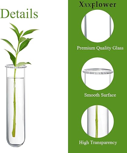 Miniatura 4 de XXXFLOWER Accesorios para estaciones de propagación de vidrio, tubos de ensayo de vidrio, macetas para terrario de pared para el hogar, oficina,
